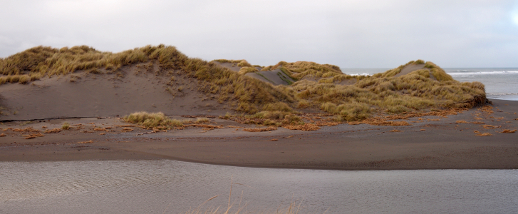 [Photos stitched together showing small, mostly grass-covered dunes at the river's edge. The ocean can be seen in the distance behind the dunes.]